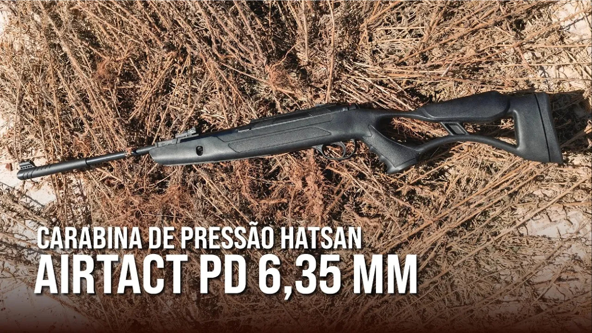 Imagem do vídeo Assista o vídeo e saiba mais detalhes!