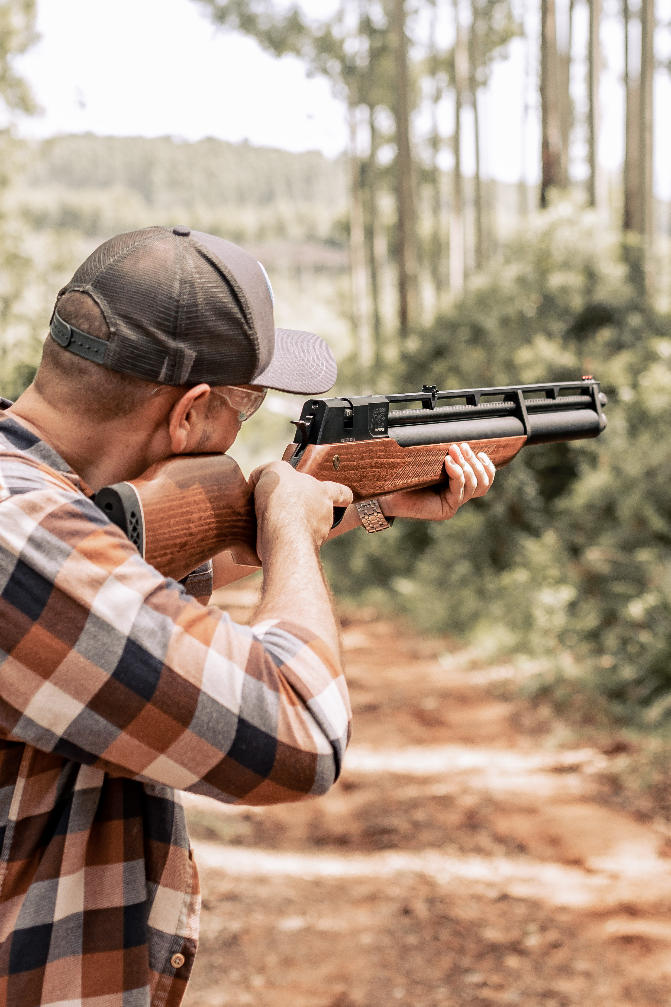 Imagem Airgun